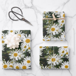 Hoja De Papel De Regalo White Oxeye Daisy Meadow