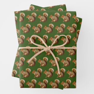 Hoja De Papel De Regalo Woodland Vibes Squirrel