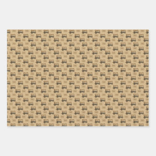 Hoja De Papel De Regalo Yellowstone 1883