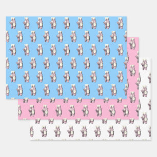 Hoja De Papel De Regalo Zapatos de bailarina rosa Lt En Pointe FL DIY BG