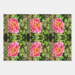 Hoja De Papel De Regalo Zinnia rosa con centro amarillo