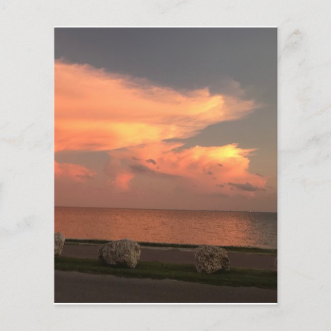 Hoja de papel plana de 4,5" x 5,6" (Anverso)