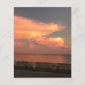 Hoja de papel plana de 4,5" x 5,6"