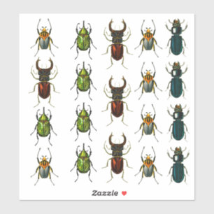 Hoja de Pegatinas Vintage Vinyl Die-cut