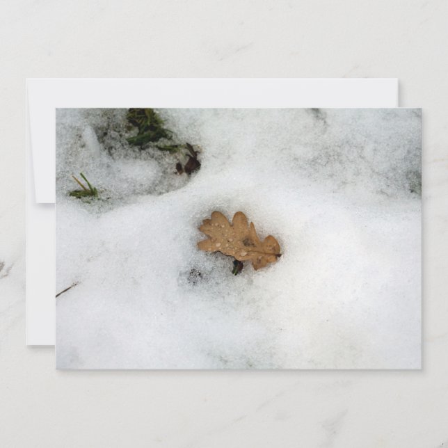 Hoja de roble en la nevada Tarjeta de vacaciones (Anverso)