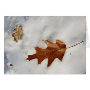 hoja de roble en la nieve