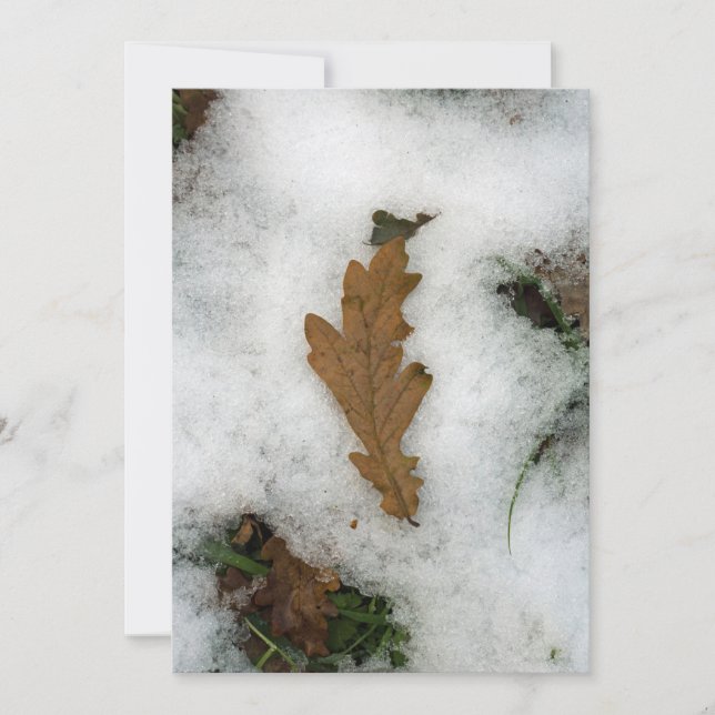 Hoja de roble en la tarjeta de vacaciones de la ni (Anverso)