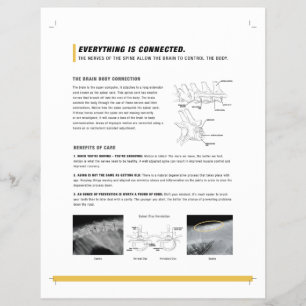 Hoja de ROF (canino + equino)