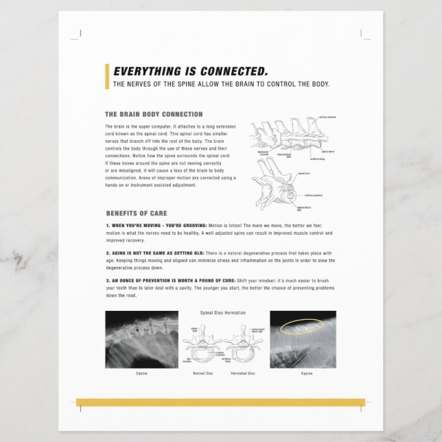 Hoja de ROF (canino + equino) (Frente)