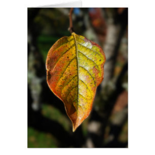 Hoja del caqui del otoño