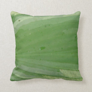 hoja del hosta, almohada verde casi sólida