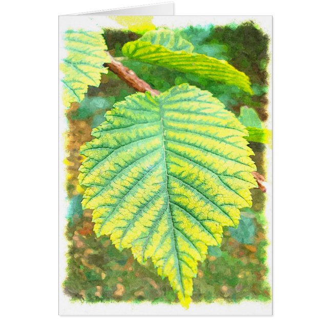 Hoja del olmo en otoño (Frente)