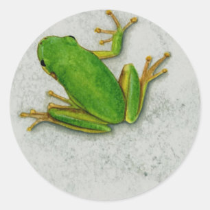 Hoja Pegatina de rana verde