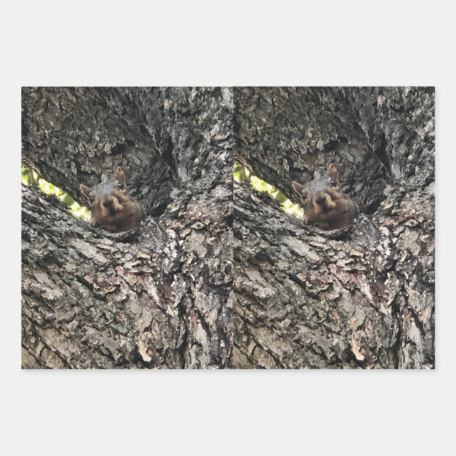 Hoja plana de envolvimiento de ardilla de 3 hojas (Anverso)