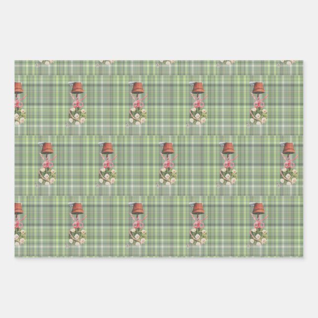 Hoja plana de papel de envolvimiento de topie y en (Anverso)