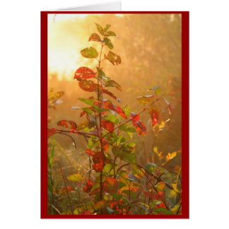 hoja roja