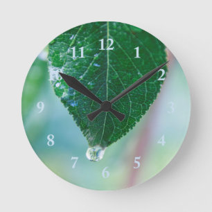 Hoja verde en el reloj de pared de los pasteles