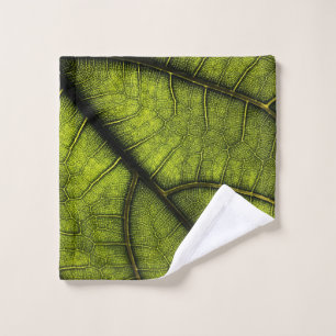 Hoja verde en fotografía de primer plano
