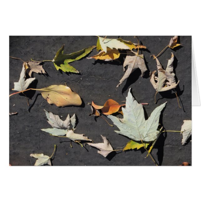 Hojas 1 de la caída (Anverso (Horizontal))