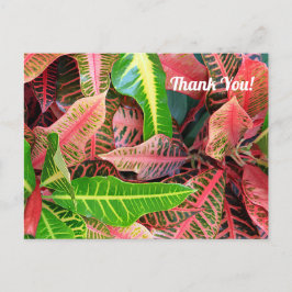 Hojas 3253 Tarjeta postal de agradecimiento
