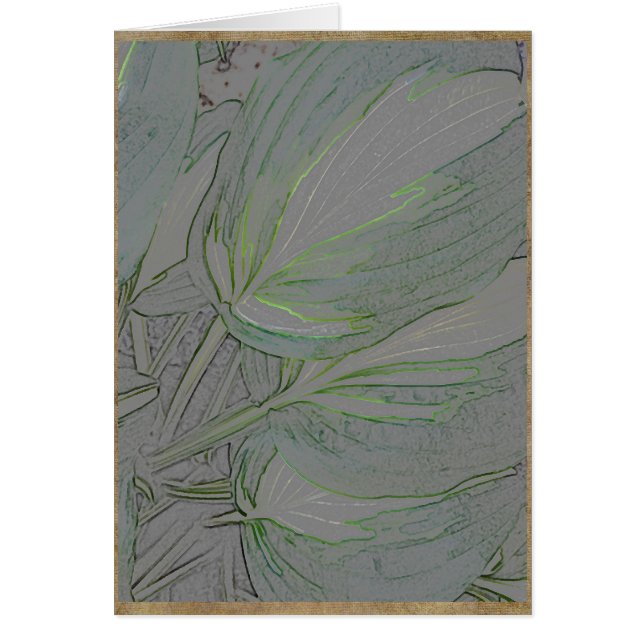 Hojas abigarradas del hosta (Frente)