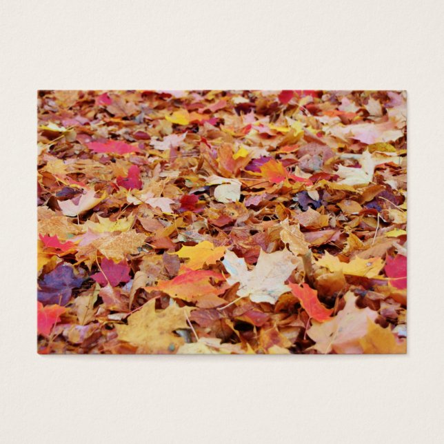 Hojas caídas en otoño (Frente)