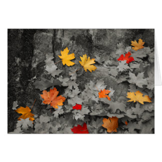 Hojas coloreadas en tarjeta blanco y negro