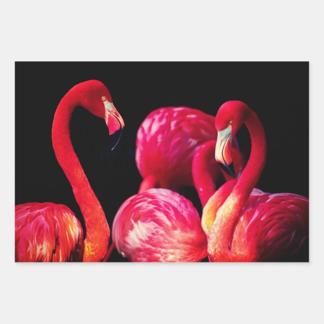 Hojas de ajuste de regalo Flamingo (Anverso)