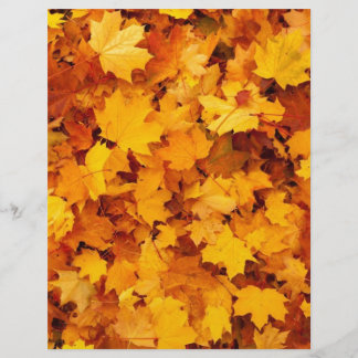 Hojas de Arce Amarillas de Otoño