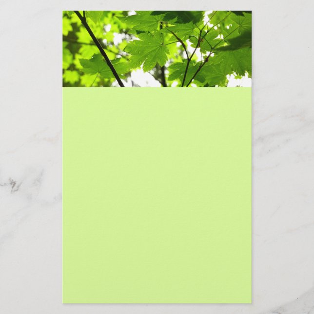 Hojas de arce con gotas de lluvia (Anverso)