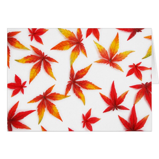 Hojas de arce de otoño rojas (Anverso (Horizontal))