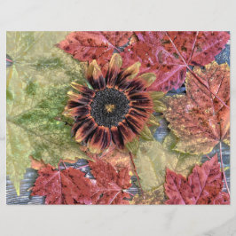 Hojas de arce marrón rústico de girasol de otoño