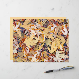 Hojas de arce pintadas de amarillo otoñal