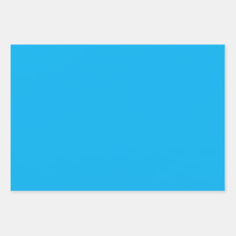 Hojas de envolvimiento elegantes de regalo de ENC