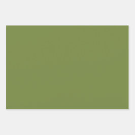 Hojas de envolvimiento elegantes para regalo OTW