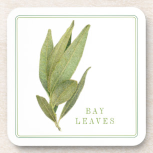 HOJAS DE LAUREL FRESCO Posavasos de Plástico Rígid