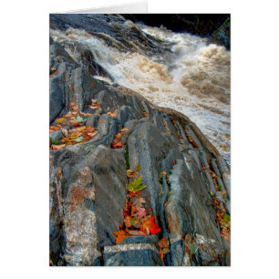 Hojas de Livermore: Tarjeta