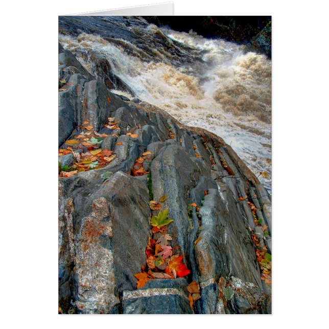 Hojas de Livermore: Tarjeta (Frente)