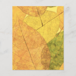 Hojas de otoño