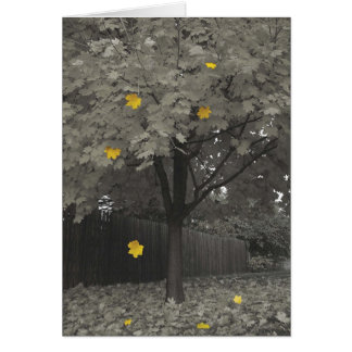 Hojas de otoño