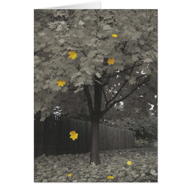 Hojas de otoño (Frente)