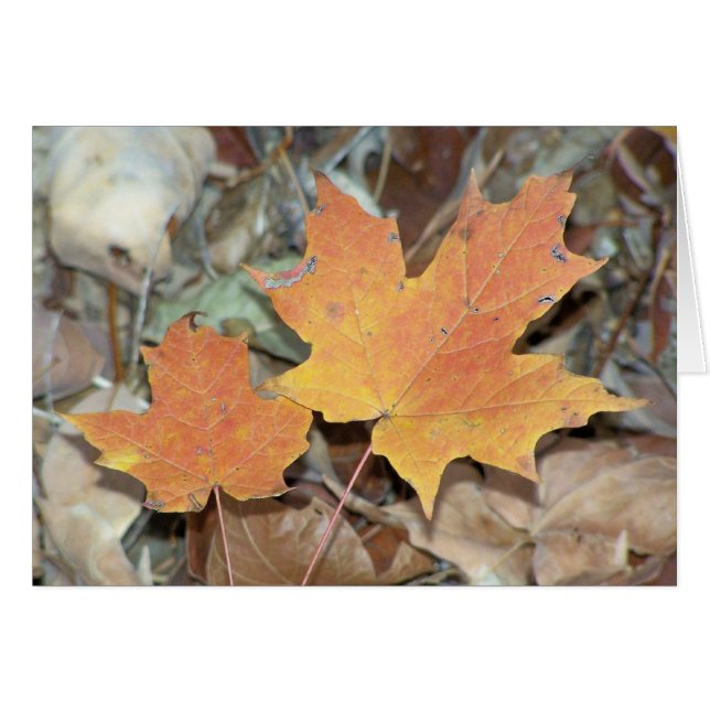 Hojas de otoño (Anverso (Horizontal))