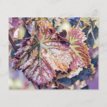 Hojas de otoño coloridas con acuarela de color