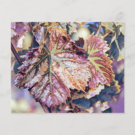 Hojas de otoño coloridas con acuarela de color