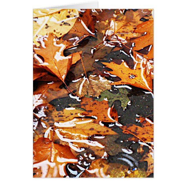 Hojas de otoño con lluvia (Frente)