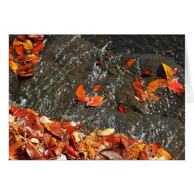 Hojas de otoño en cascada I Fotografía de otoño (Anverso (Horizontal))