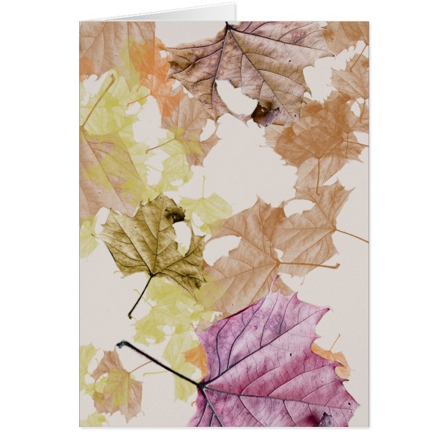 "hojas de otoño" ...enamorándome de ti TARJETA DE  (Frente)