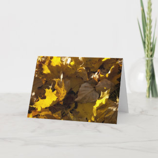 Hojas de otoño - tarjeta