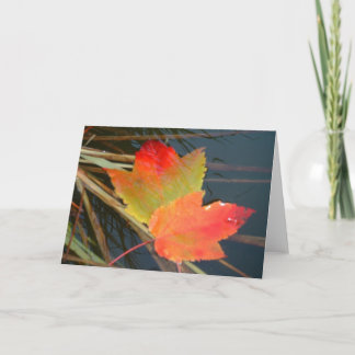 Hojas de otoño - tarjeta