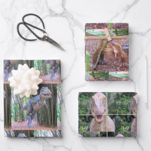 Hojas de papel de ajuste de dinosaurios - 3 diseño